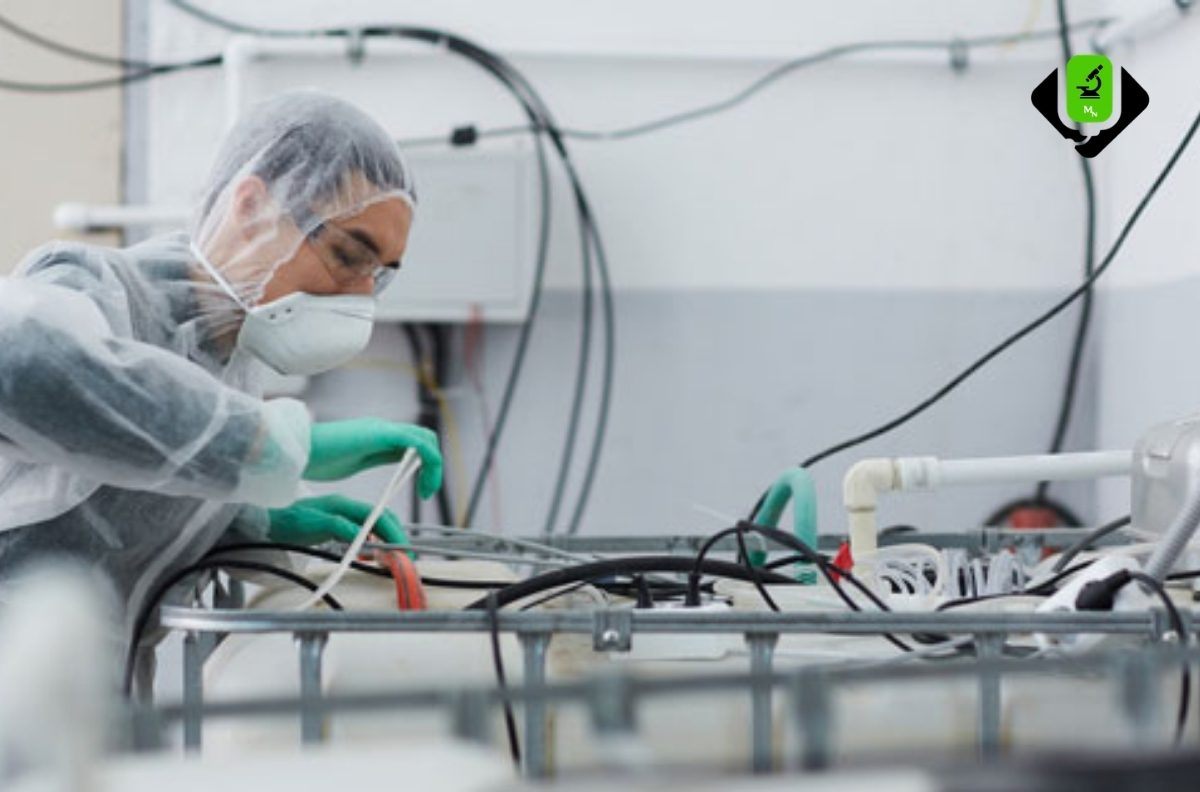 Comprehensive Diagnostic Check-Up